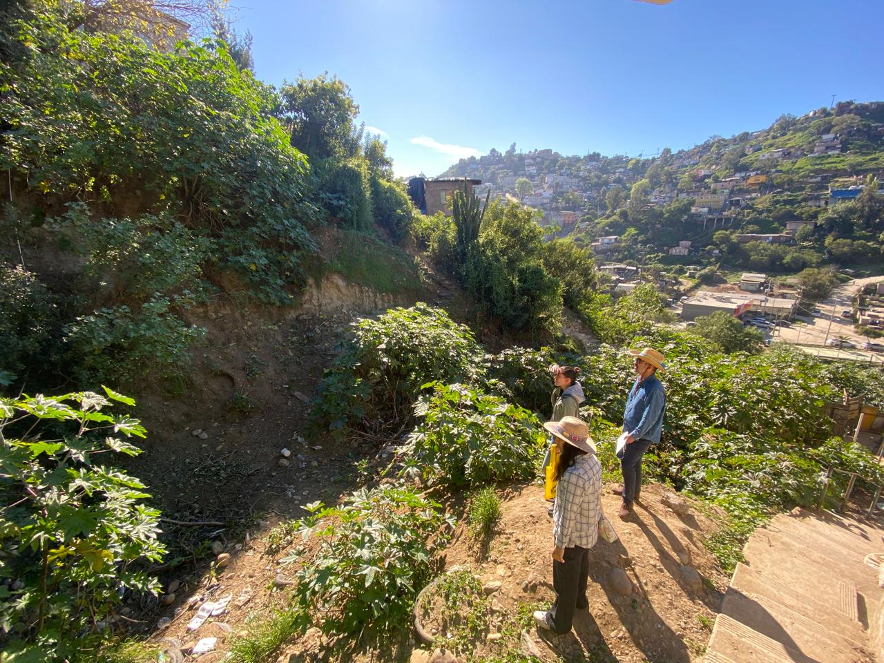 Restauración de Servicios Ecosistémicos en la Subcuenca Los Laureles, Tijuana, México
